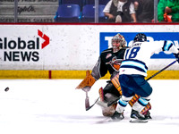 Wes Shaw-Penticton Vees at Vancouver Giants-20260213-16520