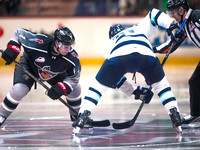 Wes Shaw-Penticton Vees at Vancouver Giants-20260213-16282