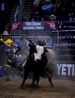 PBR (Professional Bull Riders) CANADA NATIONAL FINALS Friday, Nov 13, 2021, Rogers Arena, Edmonton, Alberta