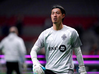 Wes Shaw Vancouver Whitecaps Seattle Sounders 44686