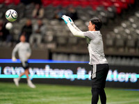 Wes Shaw Vancouver Whitecaps Seattle Sounders 44688