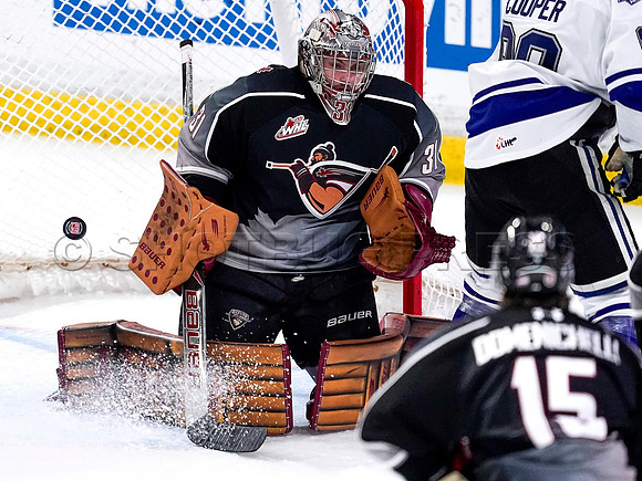 Wes Shaw-Victoria Royals at the Vancouver Giants-20260314-45240