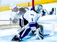 Wes Shaw-Victoria Royals at the Vancouver Giants-20260314-45320