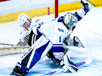 Wes Shaw-Victoria Royals at the Vancouver Giants-20260314-45318