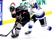 Wes Shaw-Victoria Royals at the Vancouver Giants-20260314-45443