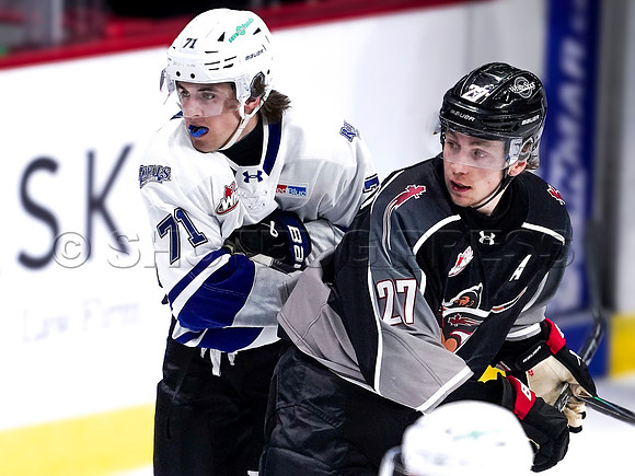 Wes Shaw-Victoria Royals at the Vancouver Giants-20260314-45526