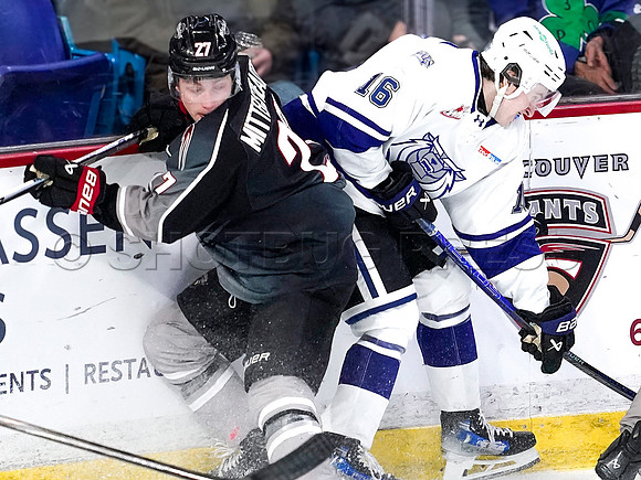 Wes Shaw-Victoria Royals at the Vancouver Giants-20260314-45530