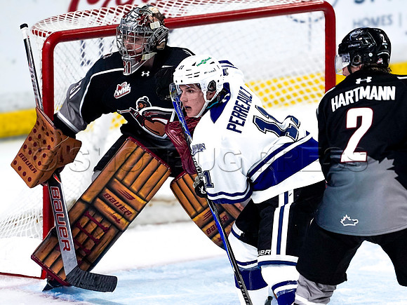 Wes Shaw-Victoria Royals at the Vancouver Giants-20260314-45620