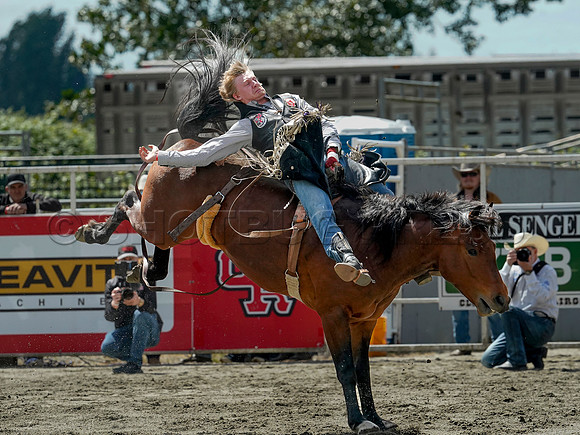Wes Shaw Shotbug Press-Cloverdale Rodeo 2026 Day 2-20260516-81549
