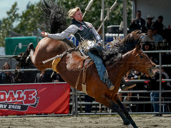Wes Shaw Shotbug Press-Cloverdale Rodeo 2026 Day 2-20260516-81551