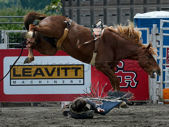 Wes Shaw Shotbug Press-Cloverdale Rodeo 2026 Day 2-20260516-81568