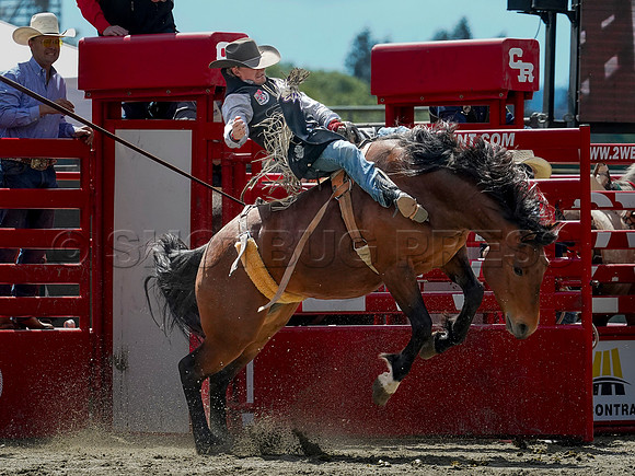 Wes Shaw Shotbug Press-Cloverdale Rodeo 2026 Day 2-20260516-81544