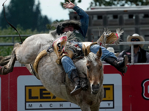 Wes Shaw Shotbug Press-Cloverdale Rodeo 2026 Day 2-20260516-81576