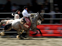 Wes Shaw Shotbug Press-Cloverdale Rodeo 2026 Day 2-20260516-81616