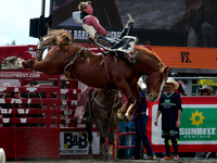Wes Shaw Shotbug Press-Cloverdale Rodeo 2026 Day 2-20260516-81620