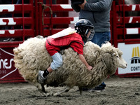 Wes Shaw Shotbug Press-Cloverdale Rodeo 2026 Day 2-20260516-81638