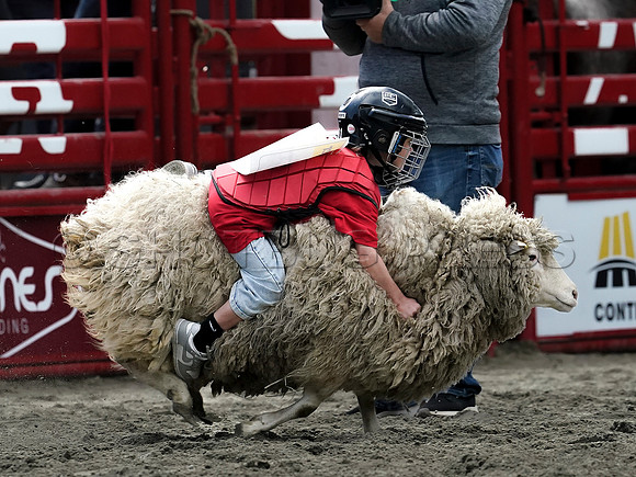 Wes Shaw Shotbug Press-Cloverdale Rodeo 2026 Day 2-20260516-81638