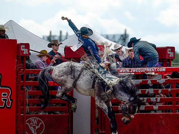 Wes Shaw Shotbug Press-Cloverdale Rodeo 2026 Day 2-20260516-81656