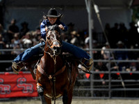 Wes Shaw Shotbug Press-Cloverdale Rodeo 2026 Day 2-20260516-81650