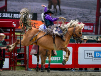 Wes Shaw Shotbug Press-Cloverdale Rodeo 2026 Day 2-20260516-81662