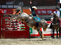 Wes Shaw Shotbug Press-Cloverdale Rodeo 2026 Day 2-20260516-81669