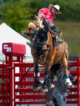 Wes Shaw Shotbug Press-Cloverdale Rodeo 2026 Day 2-20260516-81278