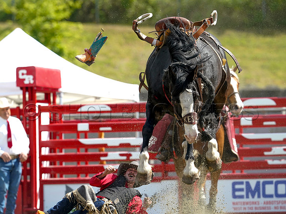 Wes Shaw Shotbug Press-Cloverdale Rodeo 2026 Day 2-20260516-81303