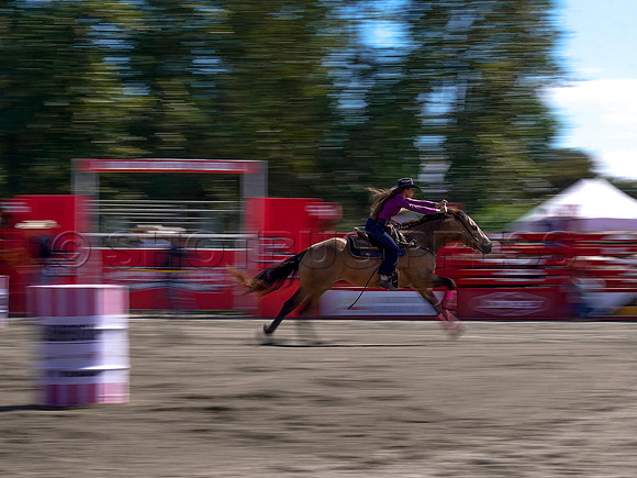 Wes Shaw Shotbug Press-Cloverdale Rodeo 2026 Day 2-20260516-81324