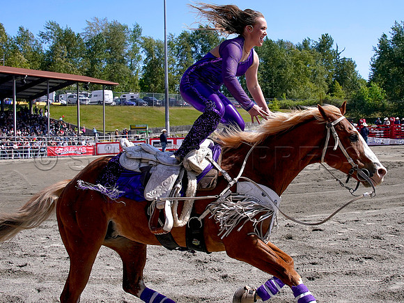 Wes Shaw Shotbug Press-Cloverdale Rodeo 2026 Day 2-20260516-81341