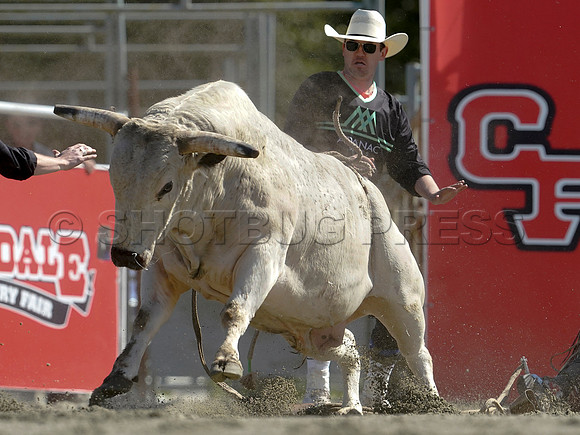 Wes Shaw Shotbug Press-Cloverdale Rodeo 2026 Day 2-20260516-81359