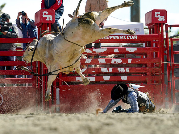 Wes Shaw Shotbug Press-Cloverdale Rodeo 2026 Day 2-20260516-81376