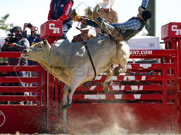 Wes Shaw Shotbug Press-Cloverdale Rodeo 2026 Day 2-20260516-81370