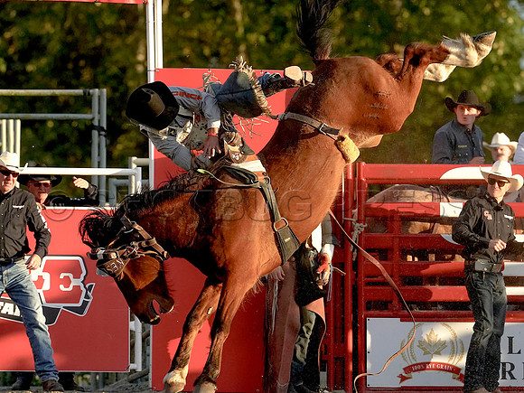 Wes Shaw Shotbug Press-Cloverdale Rodeo 2026 Day 2-20260516-81205