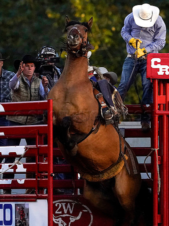 Wes Shaw Shotbug Press-Cloverdale Rodeo 2026 Day 2-20260516-80870