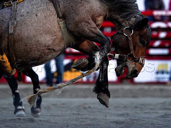 Wes Shaw Shotbug Press-Cloverdale Rodeo 2026 Day 2-20260516-80868