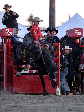 Wes Shaw Shotbug Press-Cloverdale Rodeo 2026 Day 2-20260516-80915