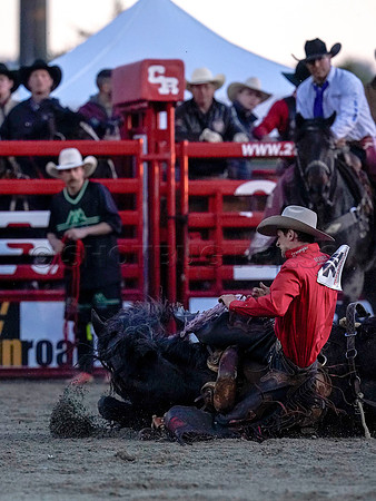 Wes Shaw Shotbug Press-Cloverdale Rodeo 2026 Day 2-20260516-80920