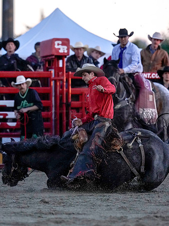 Wes Shaw Shotbug Press-Cloverdale Rodeo 2026 Day 2-20260516-80919