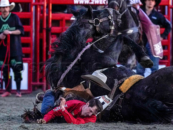 Wes Shaw Shotbug Press-Cloverdale Rodeo 2026 Day 2-20260516-80924