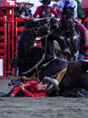 Wes Shaw Shotbug Press-Cloverdale Rodeo 2026 Day 2-20260516-80926