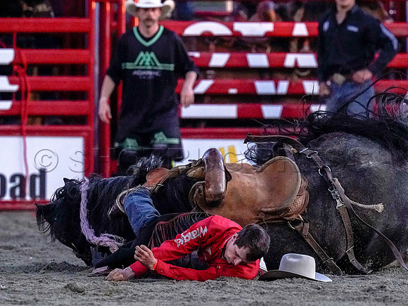 Wes Shaw Shotbug Press-Cloverdale Rodeo 2026 Day 2-20260516-80928