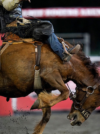 Wes Shaw Shotbug Press-Cloverdale Rodeo 2026 Day 2-20260516-80971