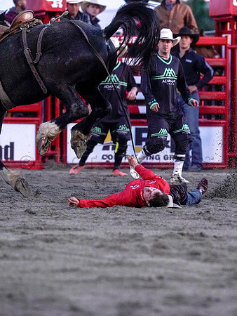 Wes Shaw Shotbug Press-Cloverdale Rodeo 2026 Day 2-20260516-80932