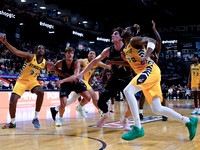 Wes Shaw Shotbug Press-Edmonton Stingers at the Vancouver Bandits-20260522-83521