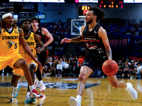 Wes Shaw Shotbug Press-Edmonton Stingers at the Vancouver Bandits-20260522-83475
