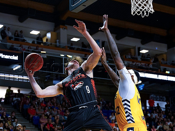 Wes Shaw Shotbug Press-Edmonton Stingers at the Vancouver Bandits-20260522-83298