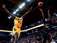 Wes Shaw Shotbug Press-Edmonton Stingers at the Vancouver Bandits-20260522-83110