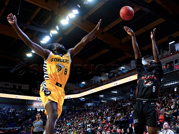 Wes Shaw Shotbug Press-Edmonton Stingers at the Vancouver Bandits-20260522-83110