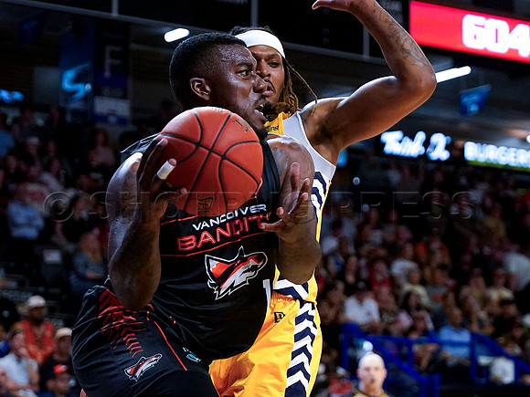 Wes Shaw Shotbug Press-Edmonton Stingers at the Vancouver Bandits-20260522-82541