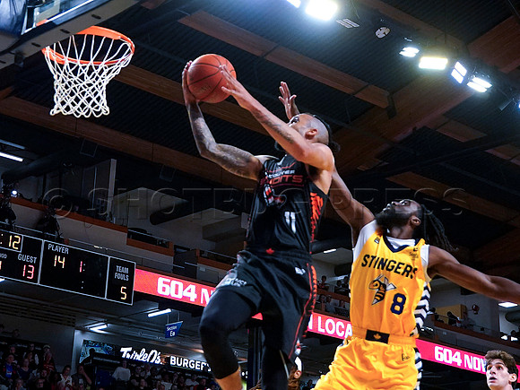 Wes Shaw Shotbug Press-Edmonton Stingers at the Vancouver Bandits-20260522-82255